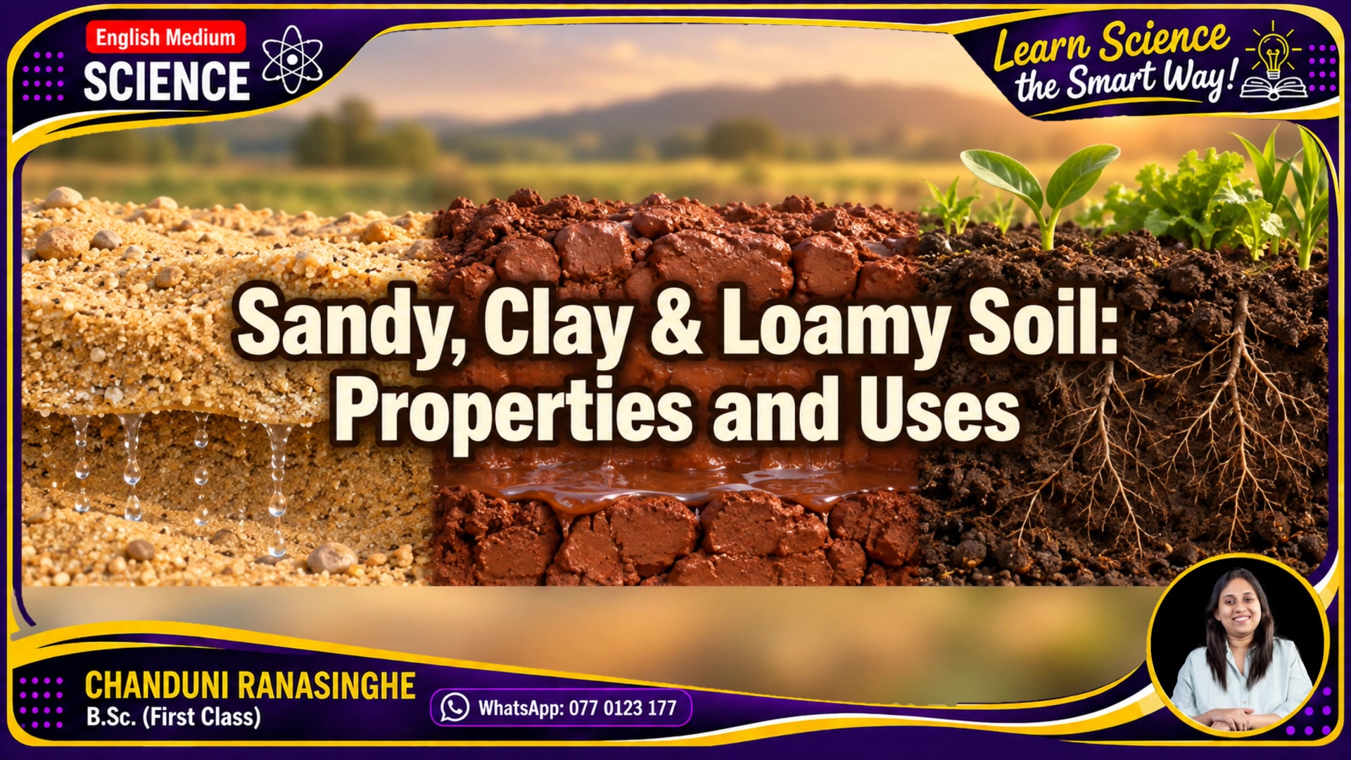 Types of Soil: Sandy, Clay and Loamy Full Lesson 🌱 | English Medium Science